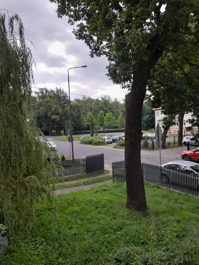 Mieszkanie Z Widokiem Na Park -Cieplice Slaskie Zdroj Apartment Jelenia Gora Bagian luar foto
